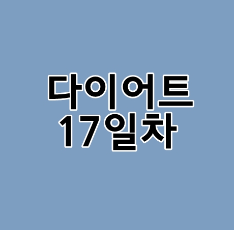 다이어트방법 식단을 바꿨어요. (17일차)