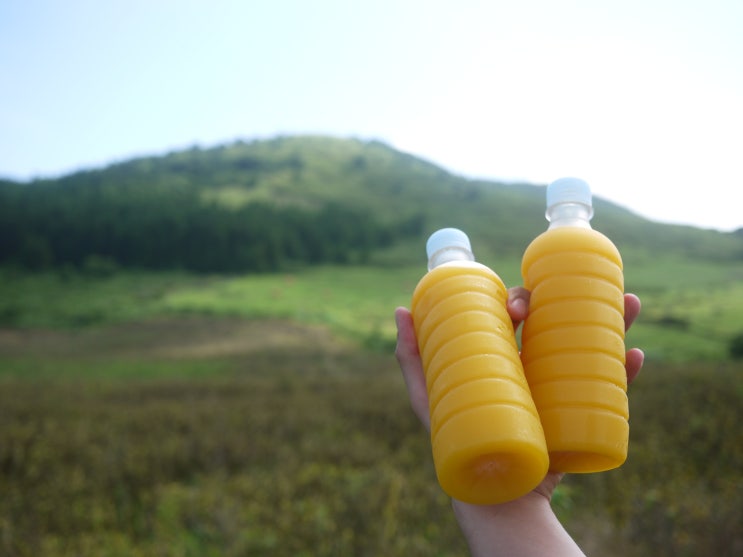  제주도 자유여행 #2 : 무계획 자유여행