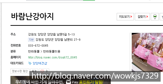 사진 2