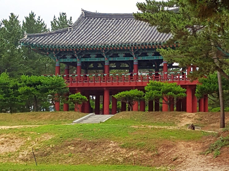 [경북 평해 월송정 & 구산해수욕장]