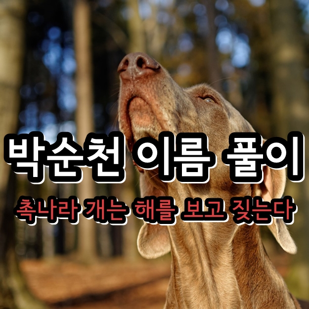 박순천 이름 풀이 <촉나라 개는 해를 보고 짖는다> 박순천 이름 풀이 <촉나라 개는 해를 보고 짖는다>