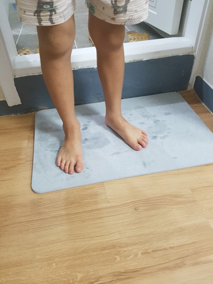  규조토 발매트 구입~ 나도 고급스럽게 물기제거해보즈아!!ㅎㅎ