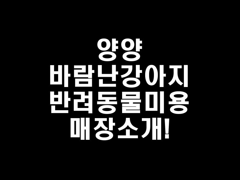 바람난강아지