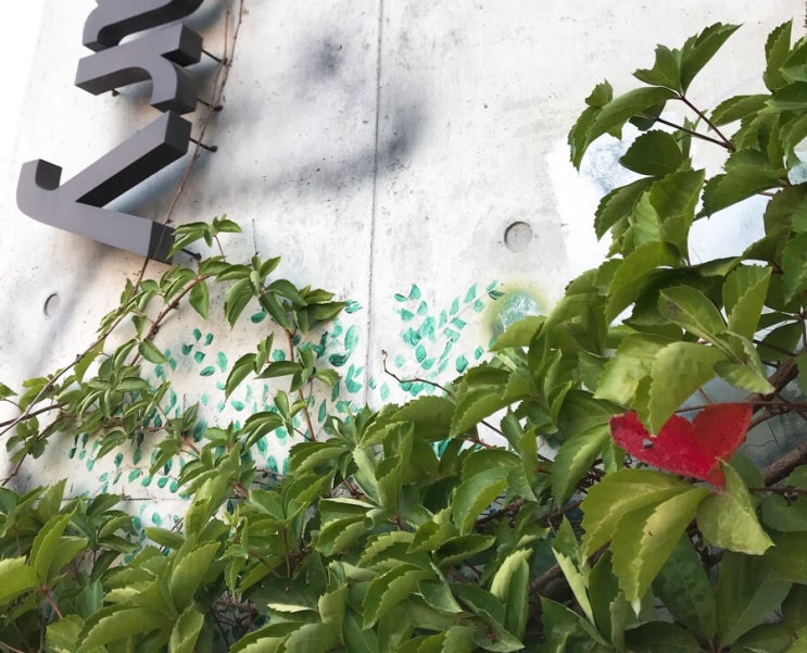 나뭇잎 사랑 나뭇잎 사랑