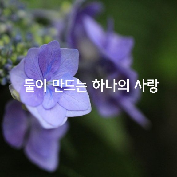  둘이 만드는 하나의 사랑