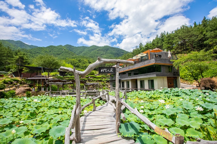  경남 산청 - 수선사(修禪寺)