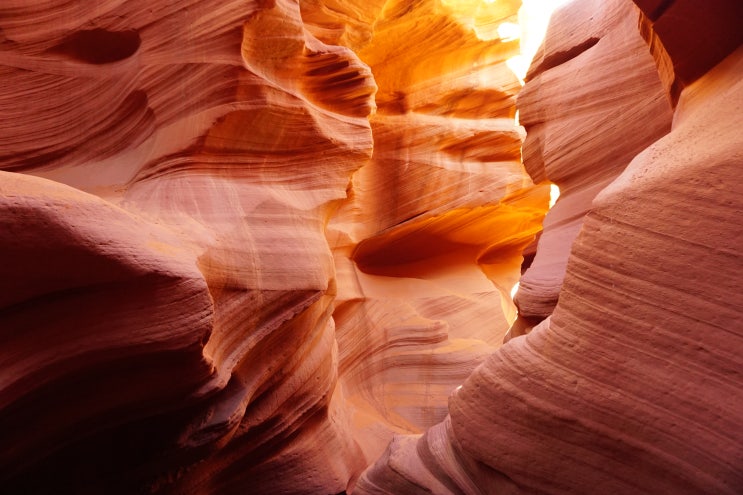 미국 여행 | 앤텔로프 캐니언 | Lower Antelope Canyon