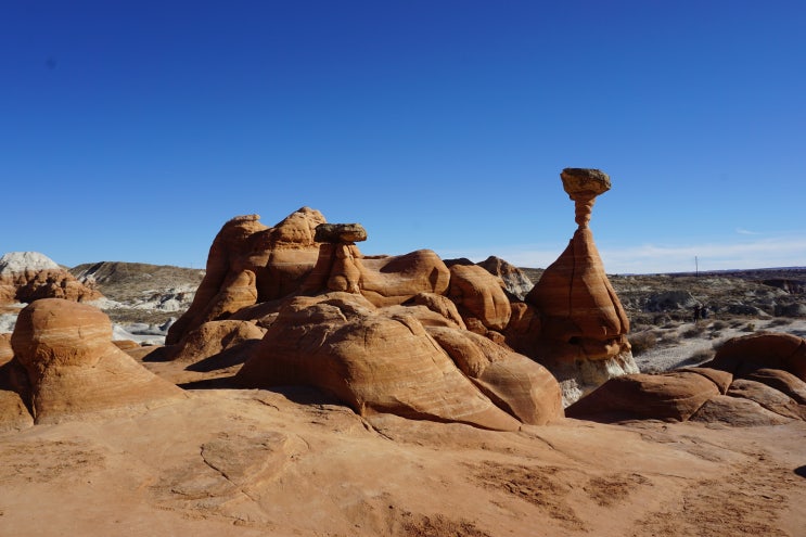  미국 여행 | Toadstool Hoodoos | Coral Pink Sand Dunes State Park