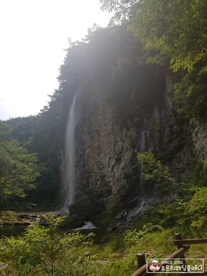  8월14일그린데이, 강천산국립공원, 산책코스, 메타쉐콰이어길, 군산웨딩플래너, 플래너휴무