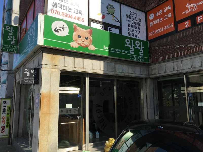 사진 4