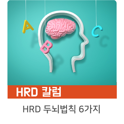 [인키움 HRD 칼럼] HRDer가 알아야 하는 6가지 두뇌 법칙