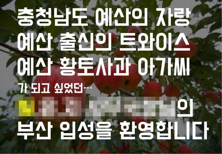  부산서면 전포카페거리 근처에 있는 더진국 24시 국밥집을 털어봤습니다.
