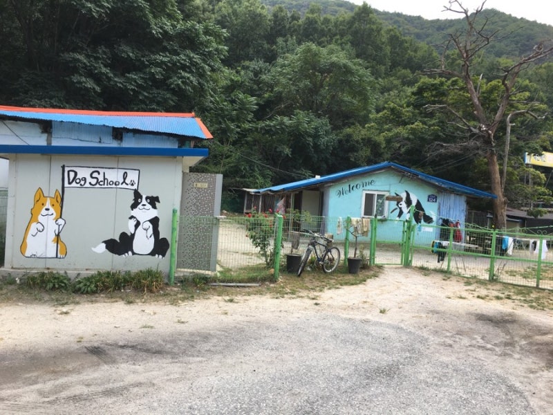 사진 4