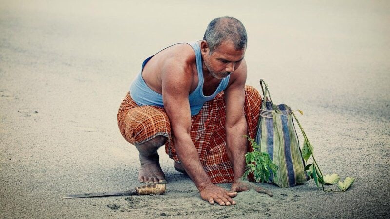40년간 나무를 심은 남자가 이룬 위대한 기적: Jadav Payeng : 네이버 블로그