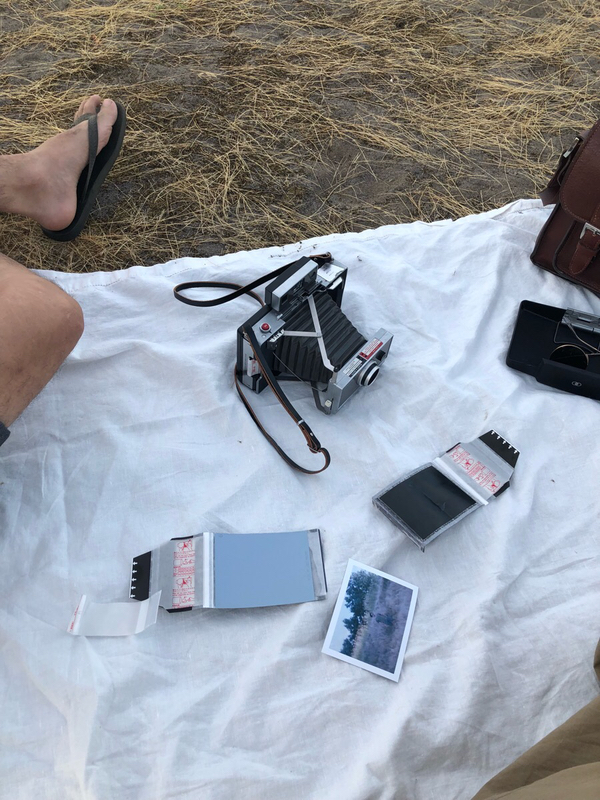  포틀랜드 여름 Portland Summer