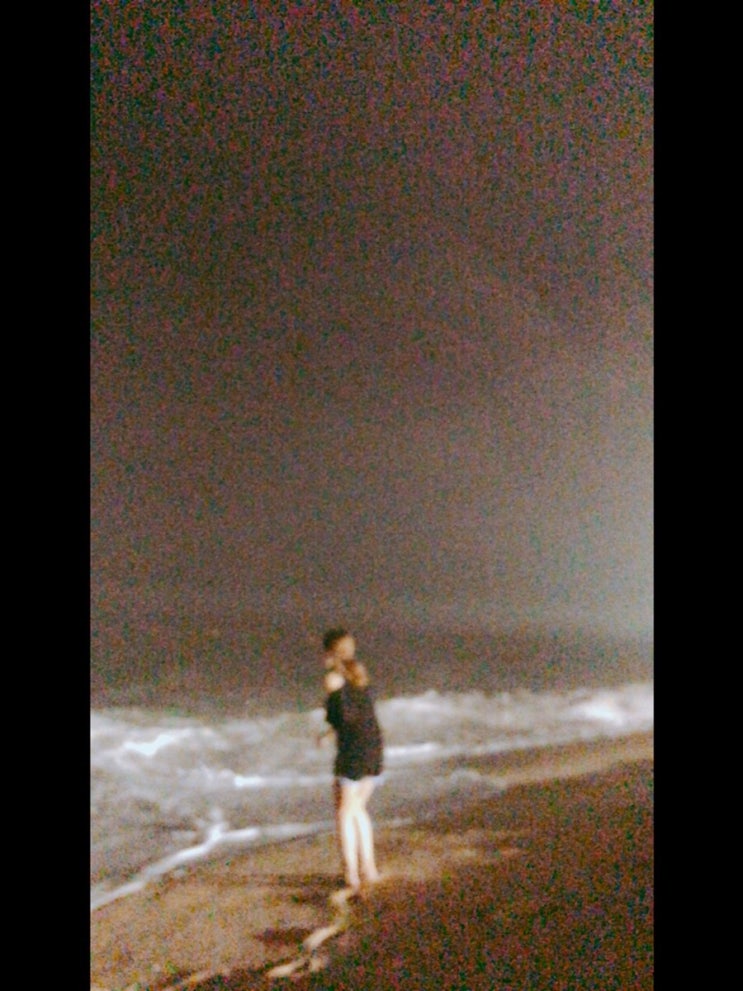  [라이언]후아유게스트하우스 경포대점 4차 해변파티 경포 해변