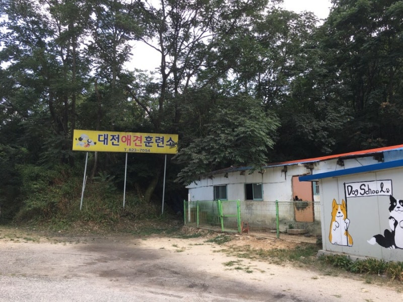 사진 3