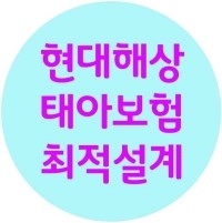  위험전에 현대해상태아보험설계 끝내기