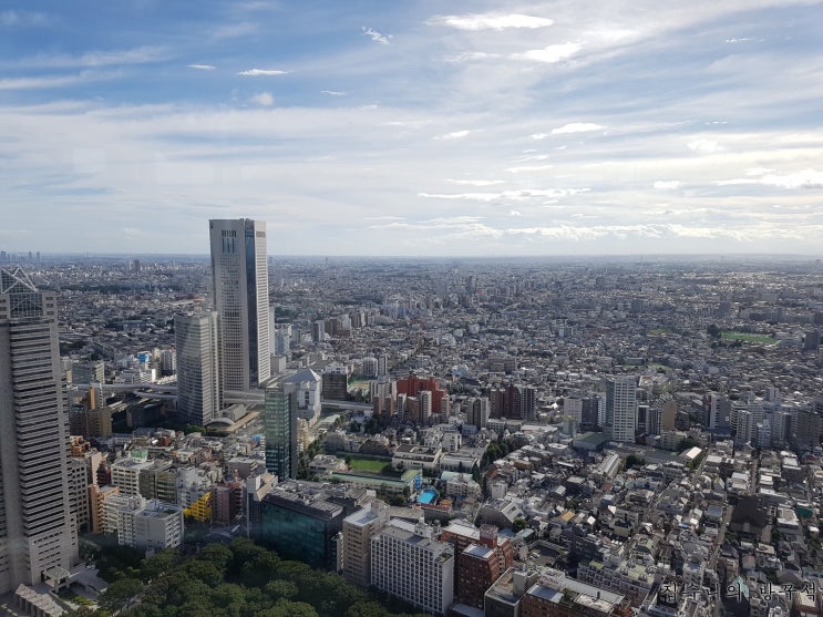  [일본워홀] 46日 두번째 면접 / 도쿄도청 전망대 / 그리고 알바 합격전화 / 로손에서 복사하기