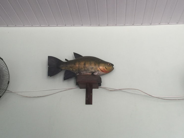  브라질 & 페루 레스토랑 (A Casa do Porco, Mani, Central, La Mar, Maido)