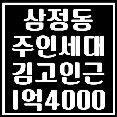  김해주인세대 전세 복층 신축 첫 입주 삼정동 김해고등학교 인근 맥세권을 아시나요?