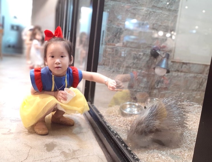  청주 애니멀 빌리지 수암골 동물카페) 유자매 일상공유 .
