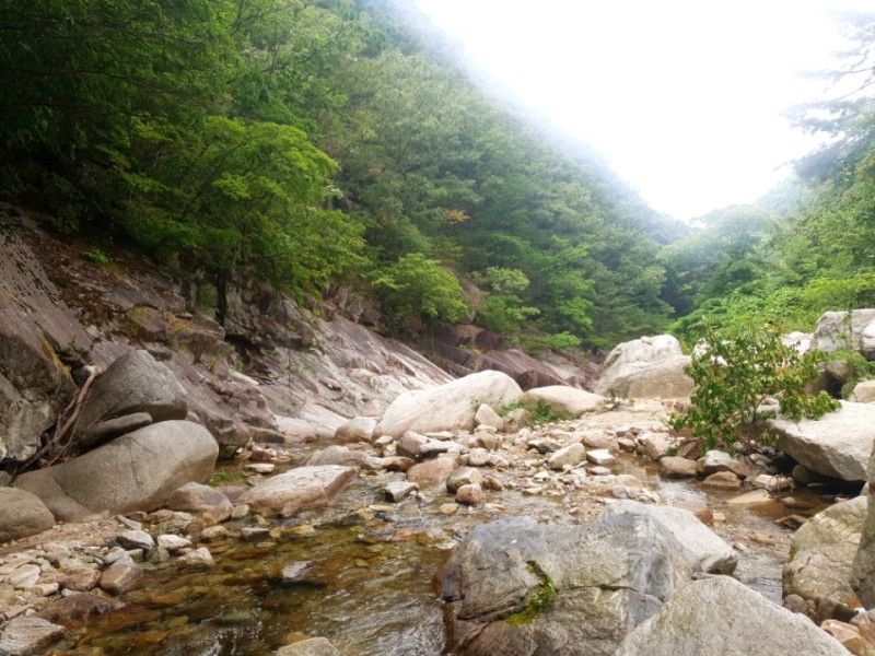 김천 계곡