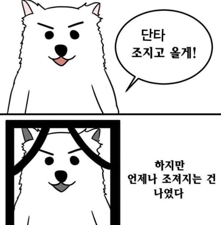 오전 10시 진에어, 에어인천 면허취소여부 발표