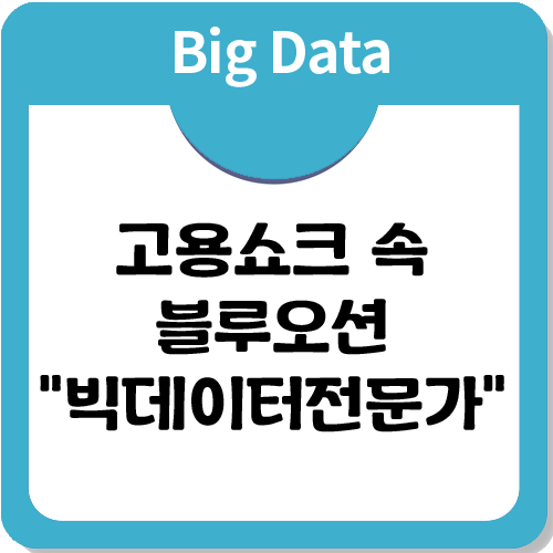 빅데이터전문가 취업, 8년 만에 최악의 고용쇼크를 뛰어넘을 수 있다!