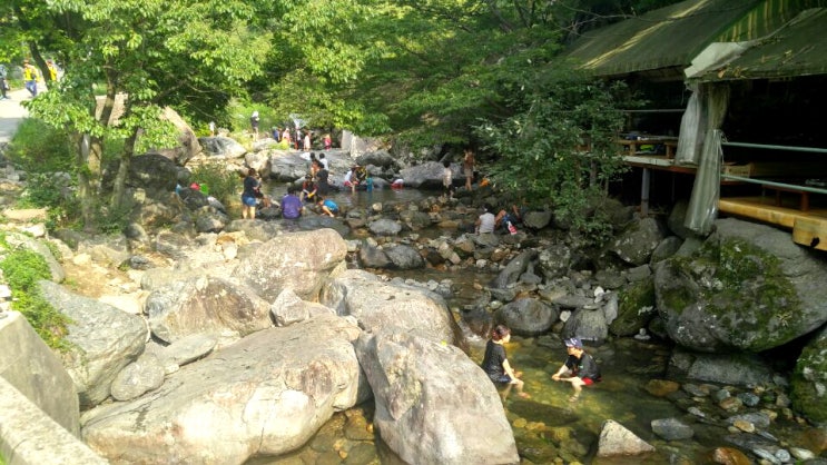  경기도 양평 - 사나사계곡 ( 물 많은 계곡 )