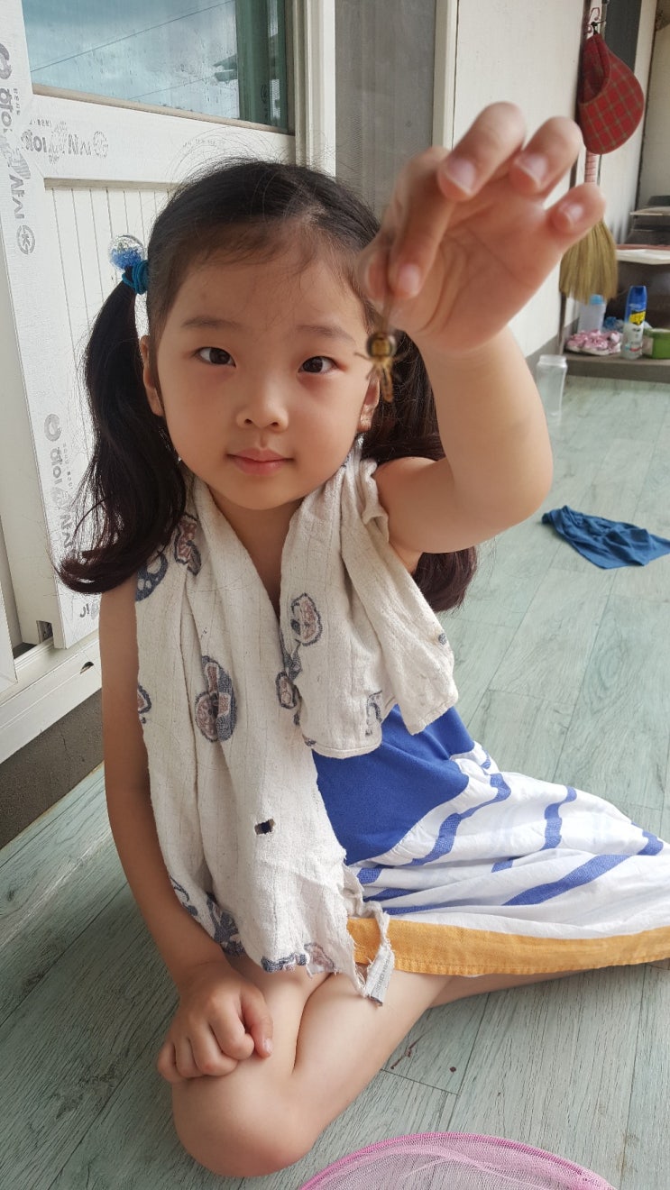  2018년 아빠와 강원도로 여름휴가~ 엄마는 돈벌로 감 ^^