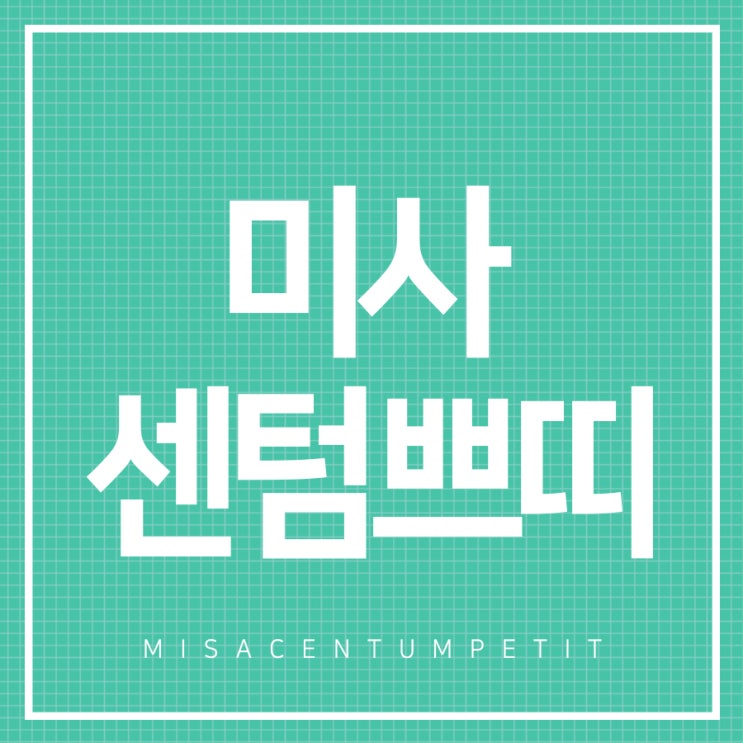  미사여드름 성인이 되어서도 고민이라면!