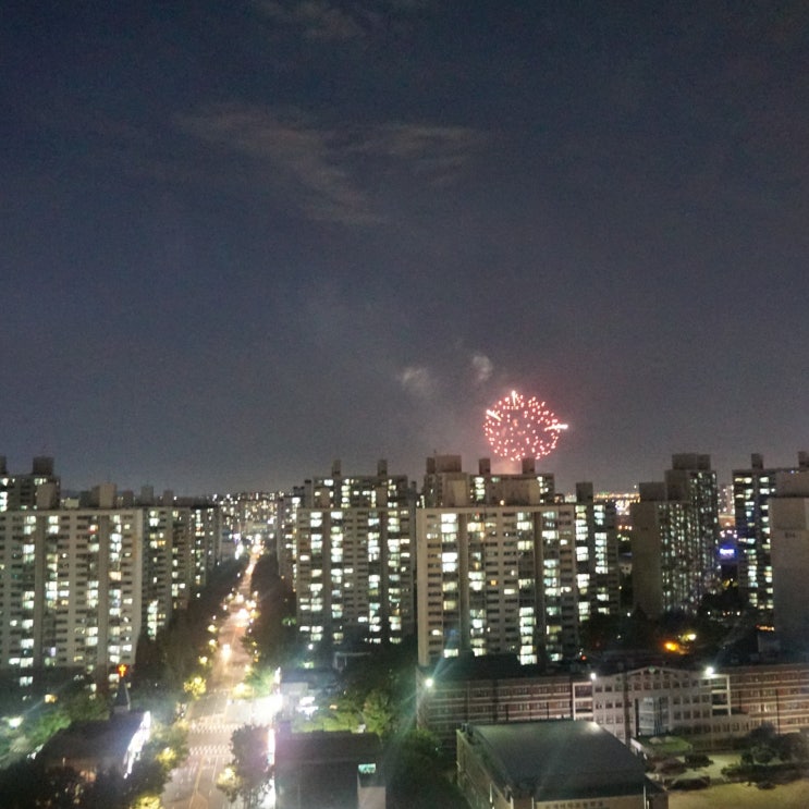  [휴일 일상] 집들이 느낌의 부부동반 모임