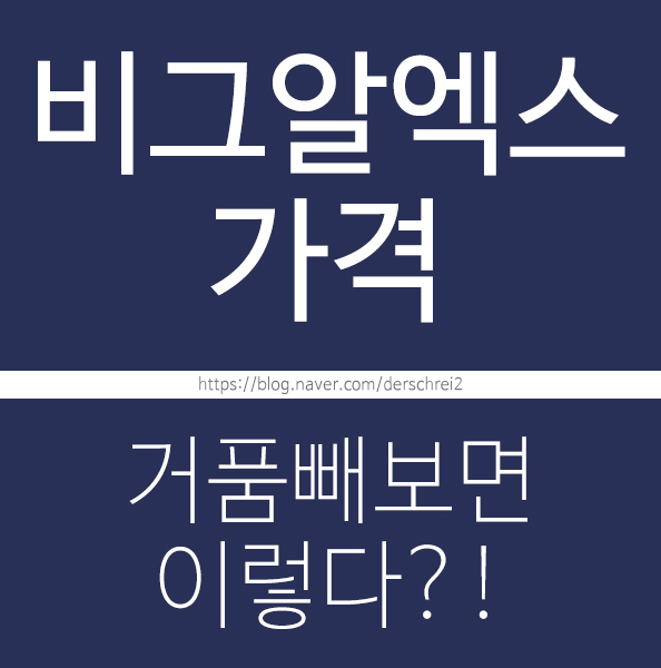  비그알엑스가격 이렇다면..