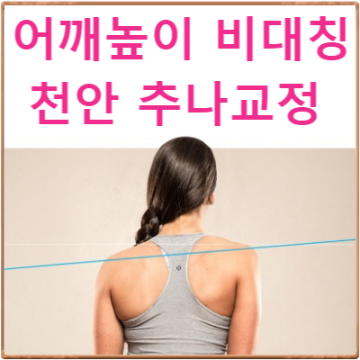 어깨 비대칭이 골반 높낮이 문제에 의한 경우 : 천안 골반교정