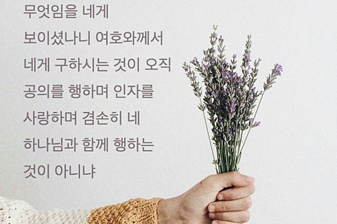주 미가 이미지