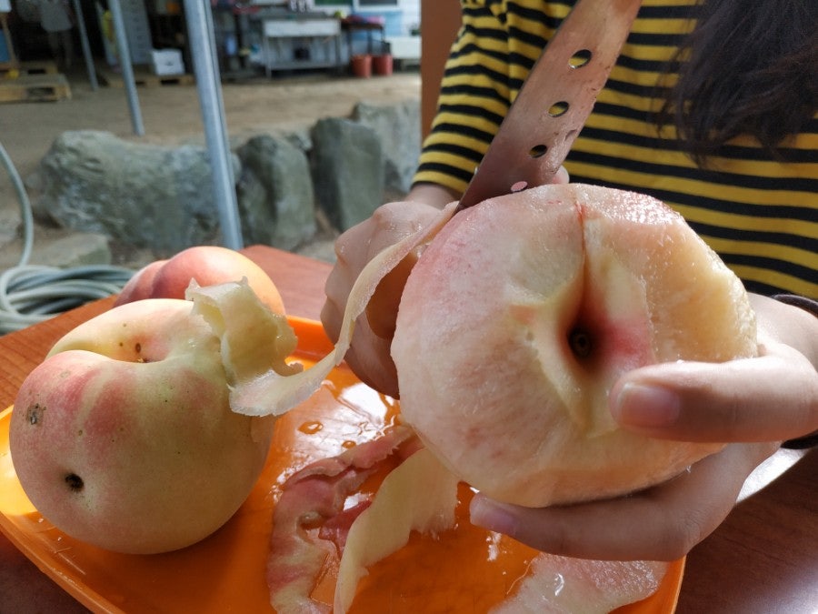 지장골 사진 6