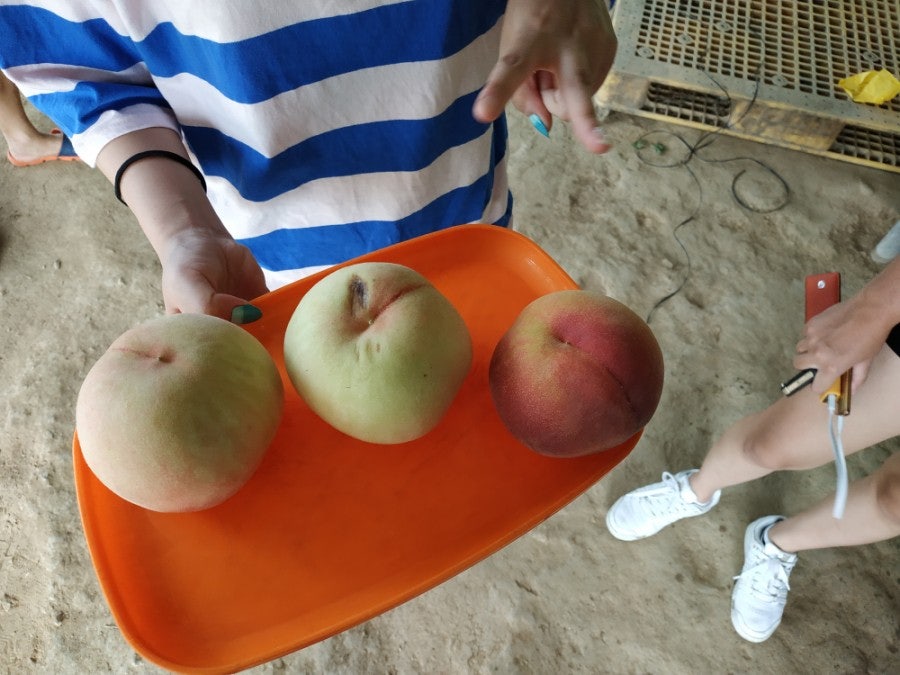 지장골
