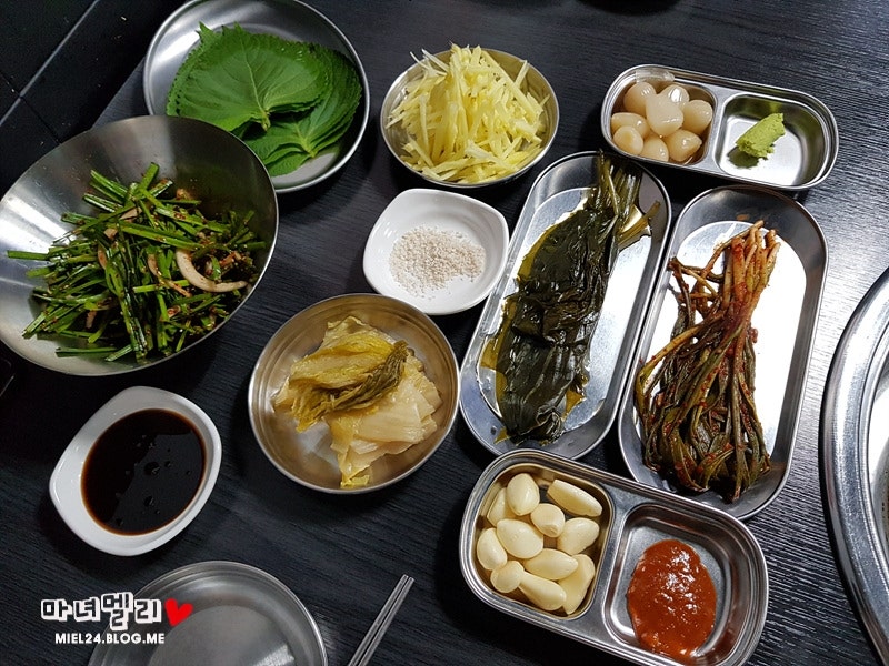 비장한장어 사진 4
