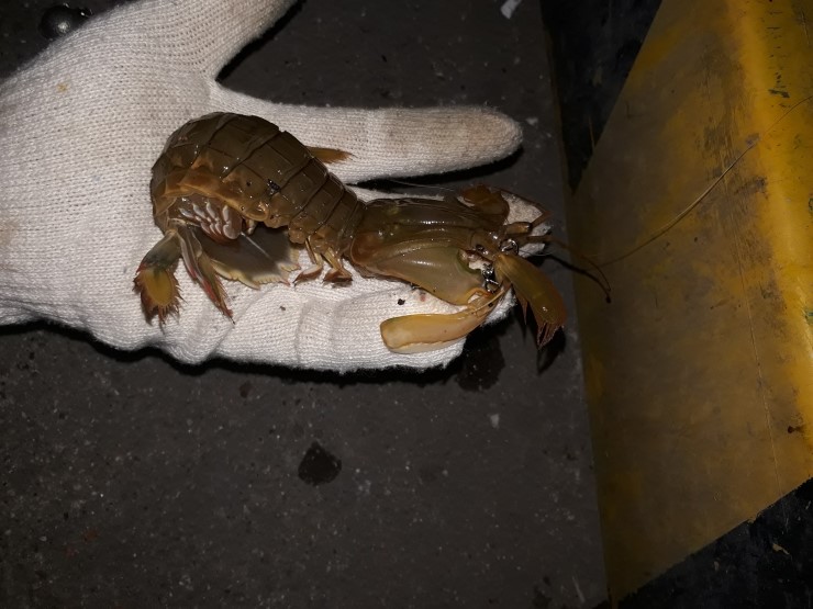  180817 동해북부 바다, 계곡 낚시