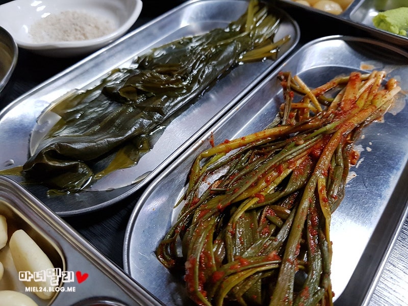 비장한장어 사진 5