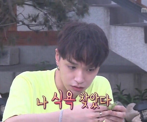 ì§¤ëª¨ìŒ 52íƒ„ ì•„ëŠ