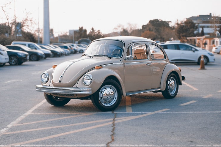  가족한정특약 위반,절취운전으로 인한 피해자, 대인배상 1,2 보상 가능 여부(판결 비판)