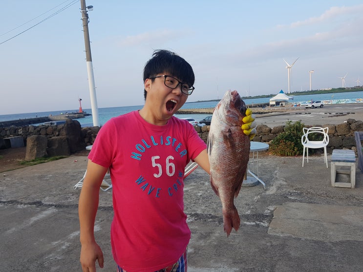 김녕레포츠카페 니모스토리에서 김녕바다 스노클링하고 왔습니다 김녕레포츠카페 니모스토리에서 김녕바다 스노클링하고 왔습니다