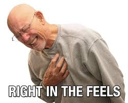  [vocabulary] 심금을 울리다 hit right in the feels