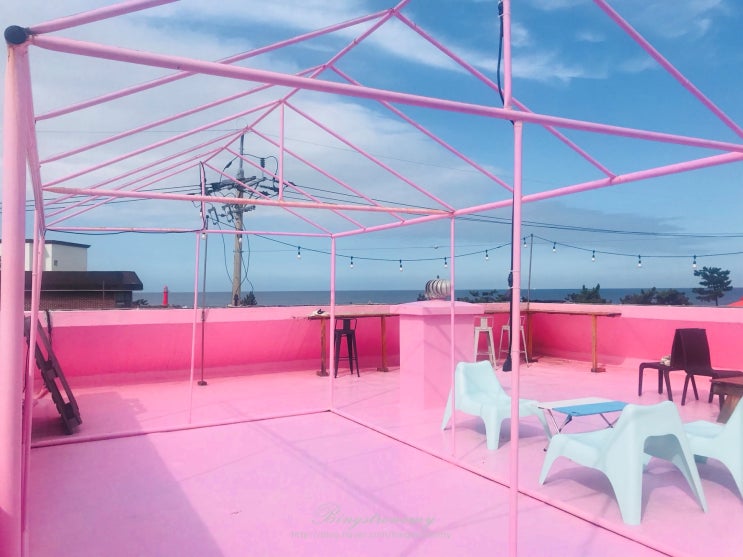 [강원/양양] 킹콩하우스 _ 인생샷 건질 수 있는 핑크빛 옥상 양양 설악해변 게스트하우스