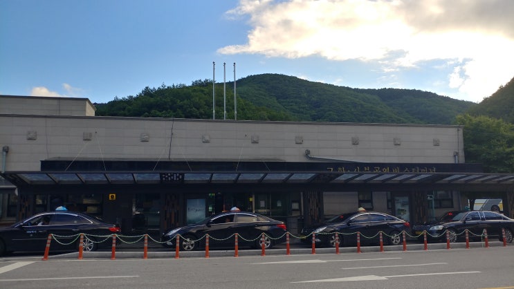  성수기 하이원 리조트 워터월드 셔틀버스 이용기 대중교통 이용기