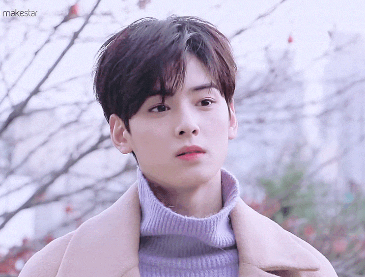  차은우 심쿵짤 대방출~! 드루와드루와 - 탄현/제니스/덕이/운정/일산미대입시/일산입시미술/일산입시전문 탄현바른미술학원