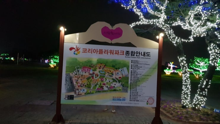 안면도해수욕장 별빛축제?!코리아플라워파크