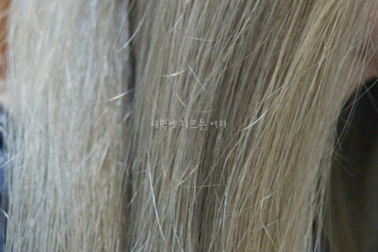  애쉬그레이 셀프염색 너무 예쁘다 비쥬드 헤어 컬러 샌드 애쉬그레이